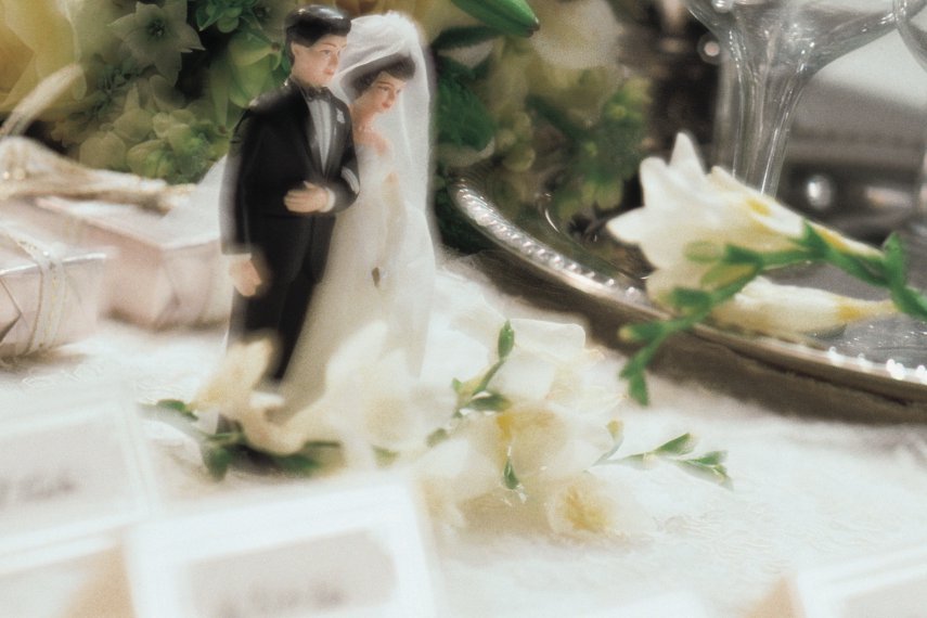 Шесть с половиной лет совместной жизни, или цинковая свадьба :: свадебныйпортал Жених и Невеста